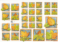 knipvellen/marjoleine zweed/herfstbladeren.jpg
